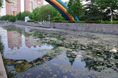 湖南益阳7月底中心城区黑臭水体将全面消除