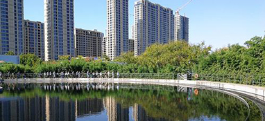 上海2020年将消除劣ⅴ类水体